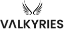 Проект VALKYRIES, H2020 Logo